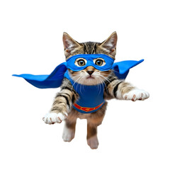 Superhero Cat in Mask and Cape on Transparent Background. PNG