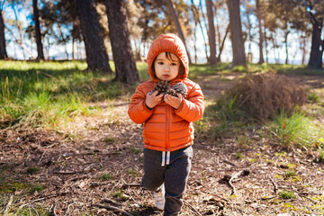 Baby toddler walking in the woods carrying pines in nature wearing jacket. Concept of outdoors...