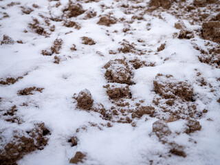 I rest the snowy arable land before spring planting.