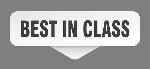 best in class sticker. best in class sign isolated on gray background