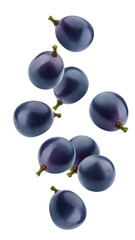 Falling purple or blue Grape, isolated on white background, full depth of field