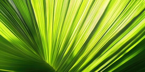 Fototapeta premium Vibrant green palm leaf with detailed texture and lines arranged diagonally on a light background showcasing tropical nature beauty