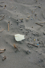 砂浜に打ち上げられて埋もれた量のゴミ