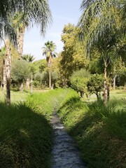 Chasing Sunlight: Monuments Beneath the Open Sky