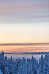 winter sunset with fog in forrest