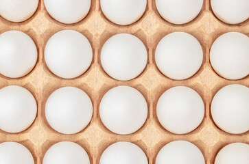 Chicken eggs white in a cardboard package tray. top view