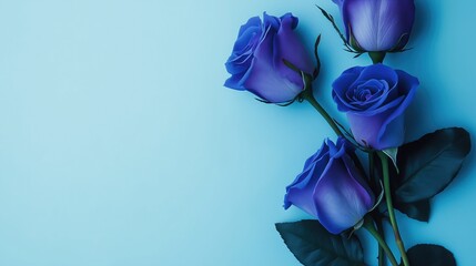 A beautiful arrangement of vibrant blue roses with lush green leaves on a soft pastel blue background, exuding an air of elegance and mystery.
