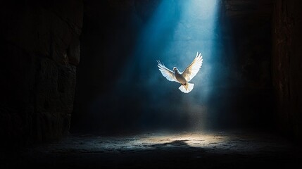 A radiant white dove illuminated by sunlight in a stone-walled corridor symbolizing peace and renewal for Easter