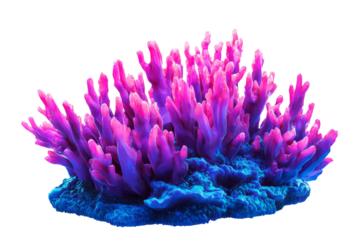 coral reef with glowing neon-pink and blue accents,  low poly on a white background