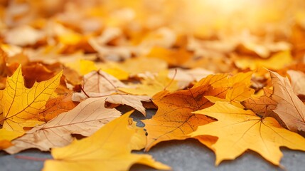 Obraz premium Golden autumn leaves scattered on ground, sunlight.
