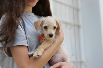 
Pet adoption. Girl with her adopted dog at animal shelter.
