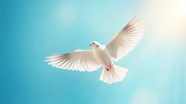 White dove in mid-flight against a bright blue sky, symbolizing peace and freedom