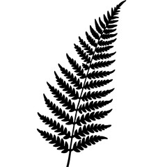 Modern Botanical Fern Line Vectors
