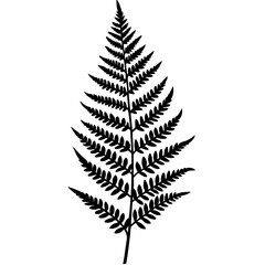 Modern Botanical Fern Line Vectors