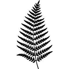 Modern Botanical Fern Line Vectors