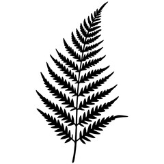 Modern Botanical Fern Line Vectors