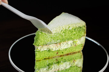 Delicious Green Layered Cake Slice