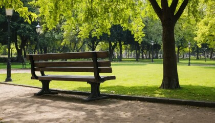 Tranquil park bench bathed in sunlight