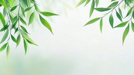 Obraz premium Delicate willow branches in fresh green, soft morning light, serene and minimalist Qingming Festival scene.