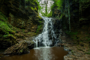 Hareshaw Linn