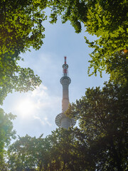 Fernsehturm Bielefeld durch Baumwipfel im Gegenlicht