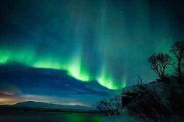 Aurora borealis northern lights, lapland, Winter landscape Majestic northern lights dance in starry sky	
