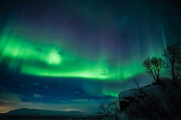 Aurora borealis northern lights, lapland, Winter landscape Majestic northern lights dance in starry sky	