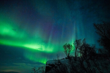 Aurora borealis northern lights, lapland, Winter landscape Majestic northern lights dance in starry sky	