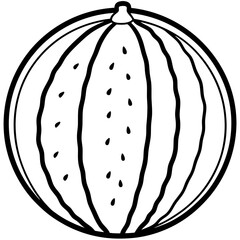 watermelon line art vector