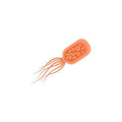 Pyrococcus Furiosus Illustration 