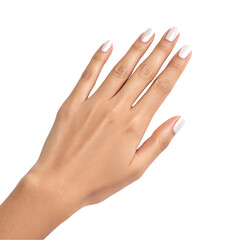 Beautiful female hands with nails