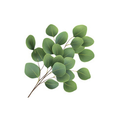 Obraz premium Lush Green Eucalyptus Sprig Isolated Botanical Illustration