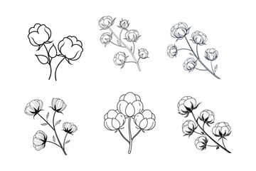 Elegant cotton flowers abstract line art contour drawings in a minimalist style. Perfect for modern decor, digital designs, and seamless patterns. Ideal for creative and stylish projects.