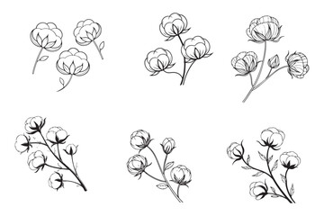 Elegant cotton flowers abstract line art contour drawings in a minimalist style. Perfect for modern decor, digital designs, and seamless patterns. Ideal for creative and stylish projects.