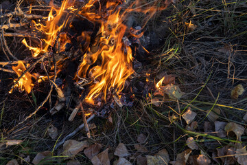 bonfire. burning coals on the grass
