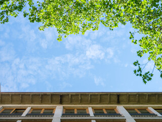 Blick nach oben – Architektur und Natur im Einklang