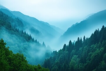 Fototapeta premium Misty forest covering the mountain slopes in a blue atmosphere