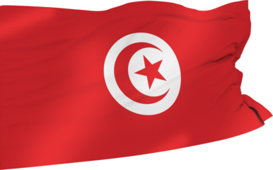 Flag of Tunisia Waving in the Wind