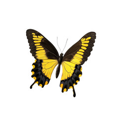 Obraz premium Stunning Yellow and Black Butterfly Isolated on Transparent Background