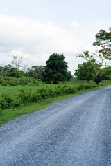 Dirt road in jungle to camping at Nakhon Nayok, Thailand
