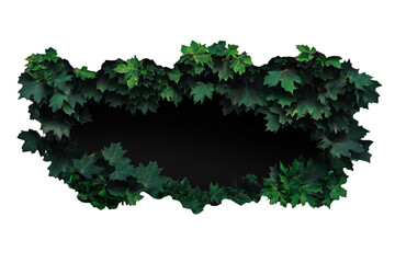  a green tree leaves in the foreground isolated on a transparent background 