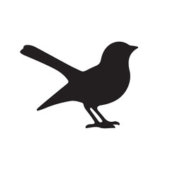 silhouette of a bird