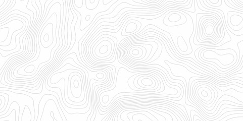 Abstract Vector geography landscape Topo contour map on white background, Topographic contour lines. Seamless pattern with lines Topographic map. Geographic mountain relief diagram line wave carve.