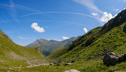 Weites grünes Hochtal in den Walliser Alpen unter klarem Himmel