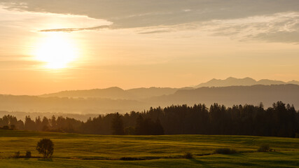 Sonnenaufgang über grünen Feldern im Allgäu mit Alpenpanorama