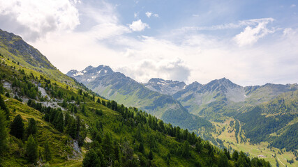Panorama der Schweizer Alpen im Wallis mit bewaldeten Hängen und Berggipfeln