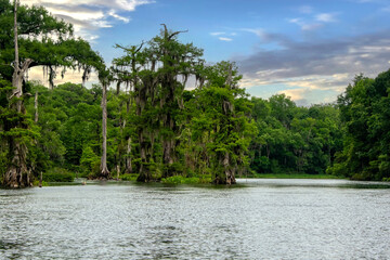 Wakulla Springs State Park, Tallahassee, Florida