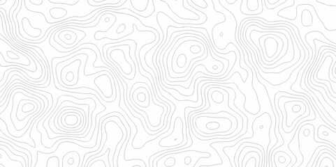 Abstract Vector geography landscape Topo contour map on white background, Topographic contour lines. Seamless pattern with lines Topographic map. Geographic mountain relief diagram line wave carve.
