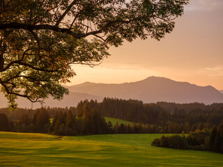 Naklejka premium Sonnenuntergang über hügeliger Landschaft im Allgäu