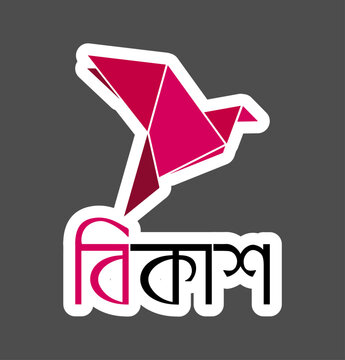 Bkash Logo Original File
